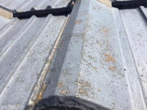 外壁・屋根塗装専門店　屋根の診断　スターペイント　和白店　福岡