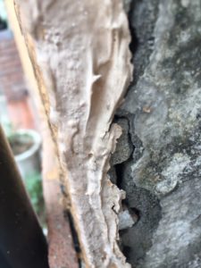 福岡県　福岡市　外壁塗装　屋根塗装　塗装専門店　スターペイント　雨漏り　防水工事　ショールーム