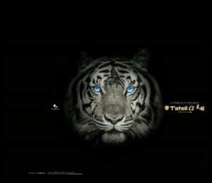 福岡県　福岡市　東区　外壁塗装　屋根塗装　塗装専門店　最強　塗料　スターペイント　タテイルα美観　タテイルシリーズ　プレマテックス