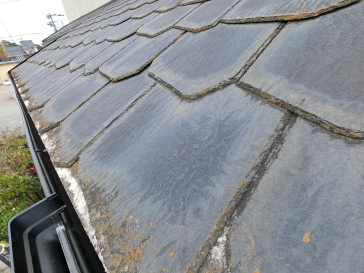 外壁・屋根の藻やカビ　　　福岡県　福岡市の外壁塗装・屋根塗装専門店　スターペイント　20181220