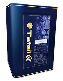 タテイルαとは　　福岡県　福岡市の外壁塗装・屋根塗装専門店　スターペイント　20181025