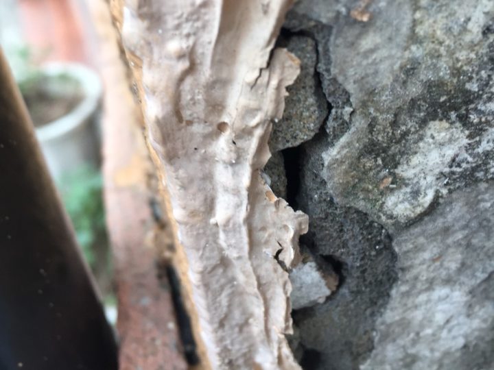 建物の構造　外壁塗装/屋根塗装/雨漏り専門店　福岡市　スターペイント　20190228