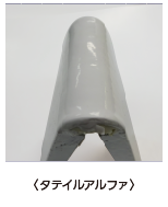 タテイルα/外壁塗装/屋根塗装/雨漏り専門店　スターペイント　20190217