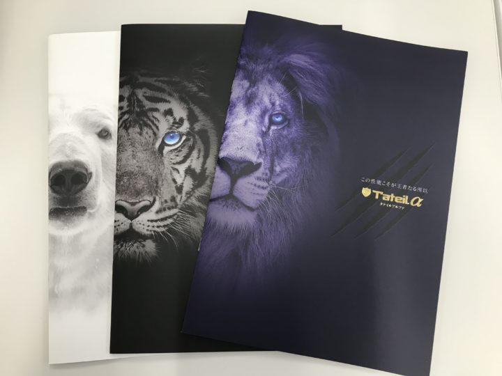 タテイルα|外壁塗装/屋根塗装/雨漏り専門店　福岡市　スターペイント　20190224