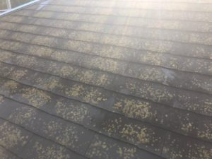 福岡県　福岡市　外壁塗装　屋根塗装　塗装専門店　スターペイント　ショールーム　雨漏り　防水工事