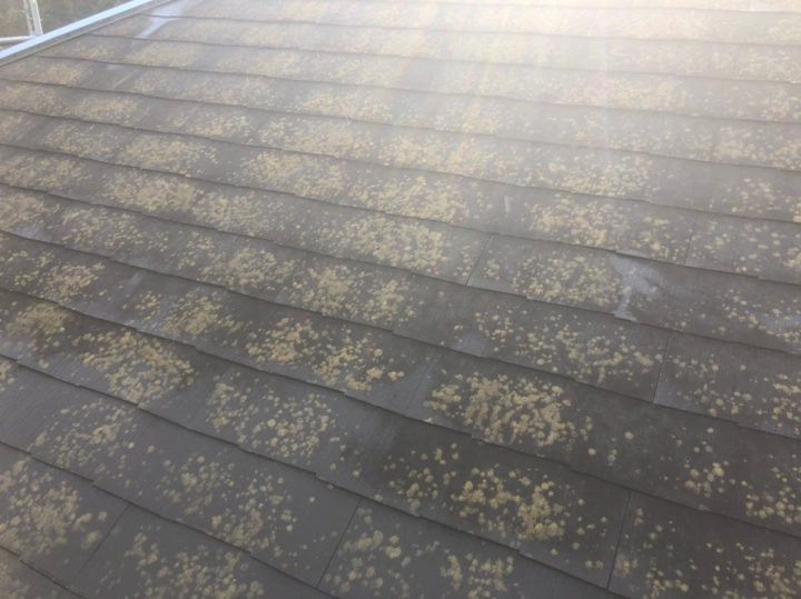 お屋根の塗り替えサイン|外壁塗装/屋根塗装/雨漏り専門店　福岡市　スターペイント　20190228