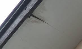 福岡県　福岡市　外壁塗装　屋根塗装　雨漏り　専門店　スターペイント