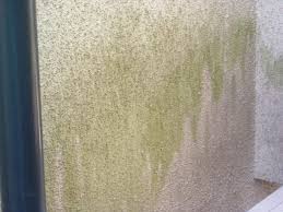 福岡県　福岡市　外壁塗装　屋根塗装　雨漏り　専門店　スターペイント　