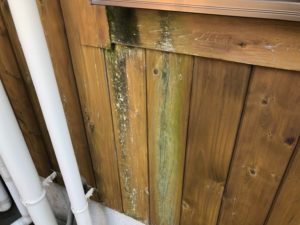 福岡県　福岡市　外壁塗装　屋根塗装　雨漏り　防水工事　塗装専門店　スターペイント