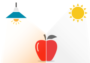 福岡県　福岡市　外壁塗装　屋根塗装　雨漏り　防水工事　塗装専門店　スターペイント