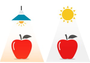 福岡県　福岡市　外壁塗装　屋根塗装　雨漏り　防水工事　塗装専門店　スターペイント