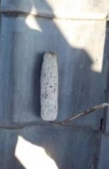 福岡県　福岡市　外壁塗装　屋根塗装　雨漏り　防水工事　塗装専門店　スターペイント