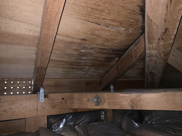 劣化を実感する前に　|外壁塗装/屋根塗装/雨漏り専門店　福岡市　スターペイント　20190520