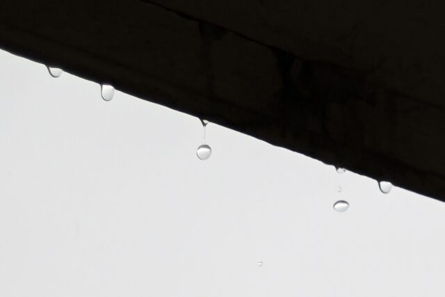 滴る雨