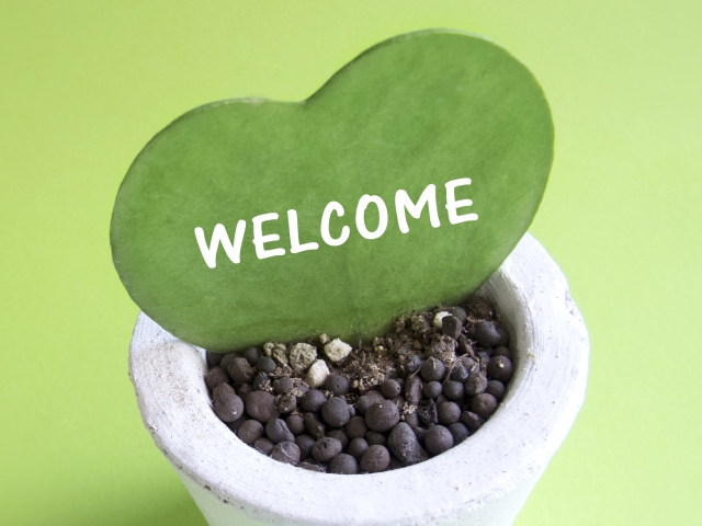 福岡県　福岡市　外壁塗装　屋根塗装　雨漏り　防水工事　塗装専門店　スターペイント