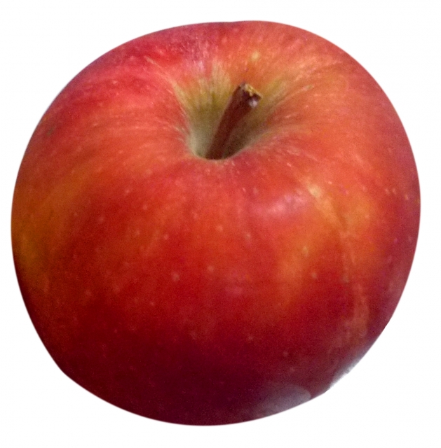 福岡　外壁塗装　屋根塗装　雨漏り　防水工事　スターペイント　専門店　ショールーム　施工事例