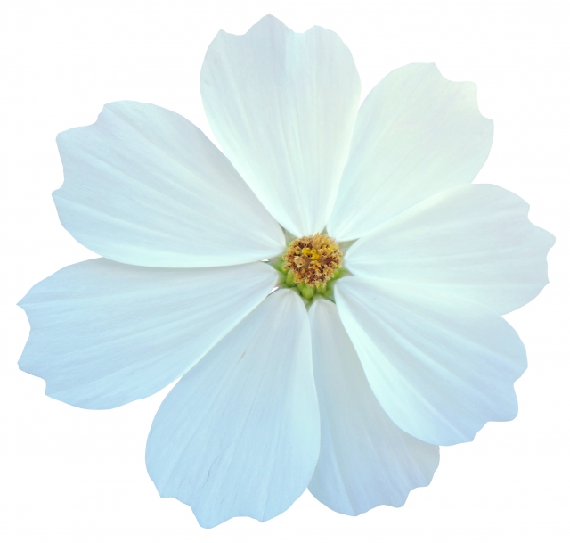 福岡　外壁塗装　屋根塗装　雨漏り　防水工事　スターペイント　専門店　ショールーム　施工事例