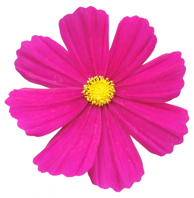 福岡　外壁塗装　屋根塗装　雨漏り　防水工事　スターペイント　専門店　ショールーム　施工事例