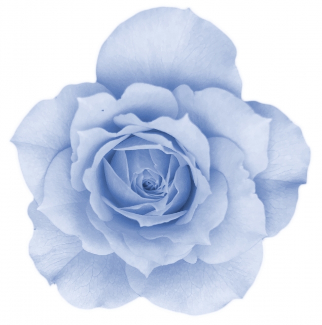 福岡県　福岡市　外壁塗装　屋根塗装　雨漏り　防水工事　塗装専門店　スターペイント