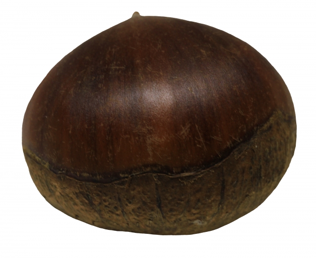 福岡　外壁塗装　屋根塗装　雨漏り　防水工事　スターペイント　専門店　ショールーム　施工事例