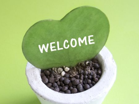 福岡県　福岡市　外壁塗装　屋根塗装　雨漏り　防水工事　塗装専門店　スターペイント