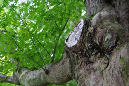 福岡　外壁塗装　屋根塗装　雨漏り　防水工事　スターペイント　専門店　ショールーム