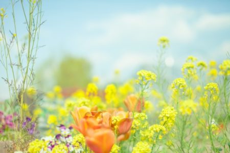 福岡　外壁塗装　屋根塗装　雨漏り　防水工事　スターペイント　専門店　ショールーム　イベント