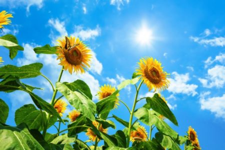 福岡　外壁塗装　屋根塗装　雨漏り　防水工事　スターペイント　専門店　ショールーム　施工事例