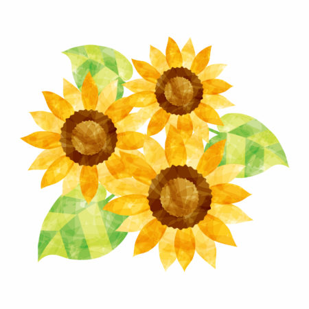 福岡　外壁塗装　屋根塗装　雨漏り　防水工事　スターペイント　専門店　ショールーム　施工事例