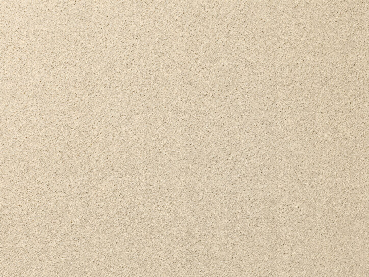 珪藻土（けいそうど）
